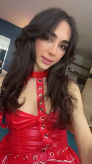 Escort trans Госпожа Арина